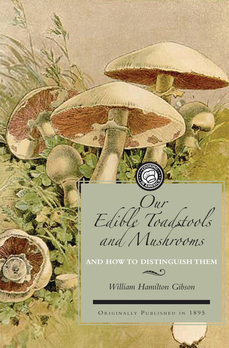 Edible Toadstools and Mushrooms & How To Distinguish Them