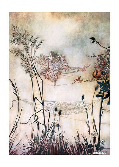 Fairy Dancing on Spider's Web