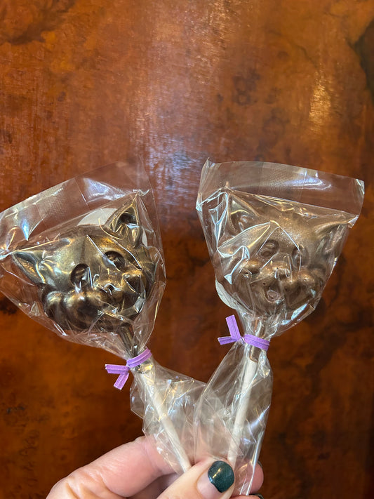 Cat Chocolate Lollipop