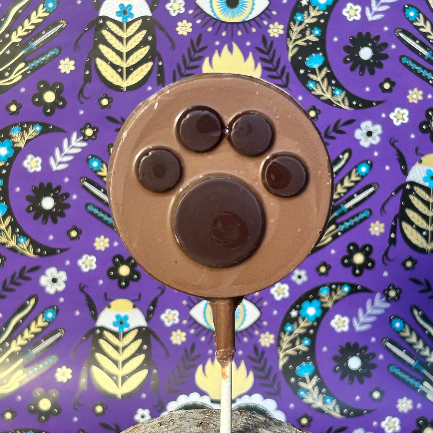 Chocolate Lollipops