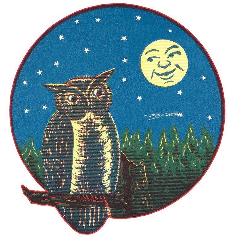 Owl with Moon: Sticker