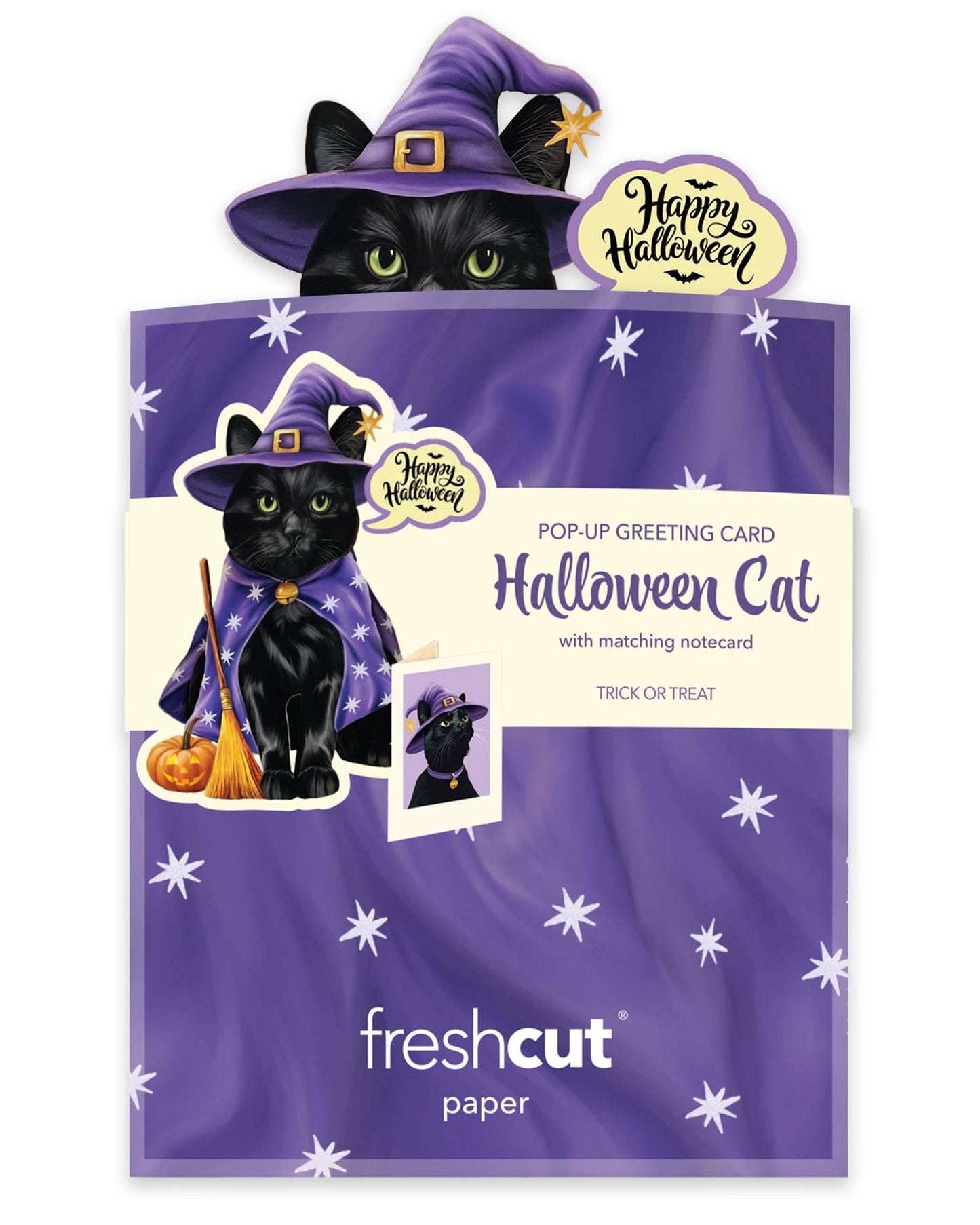 Mini Halloween Cat